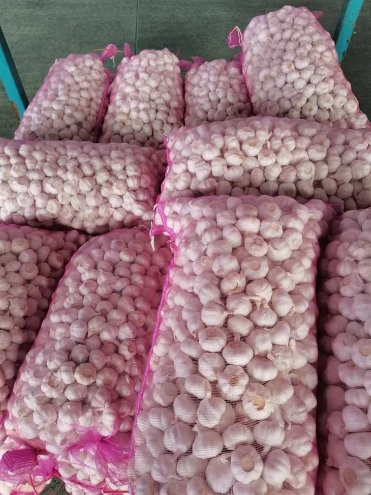 High-quality Fresh Garlic High-quality Fresh Garlic