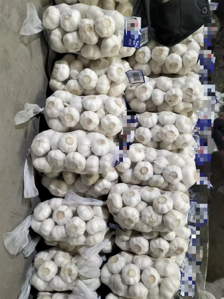 Net Pocket Garlic Net Pocket Garlic