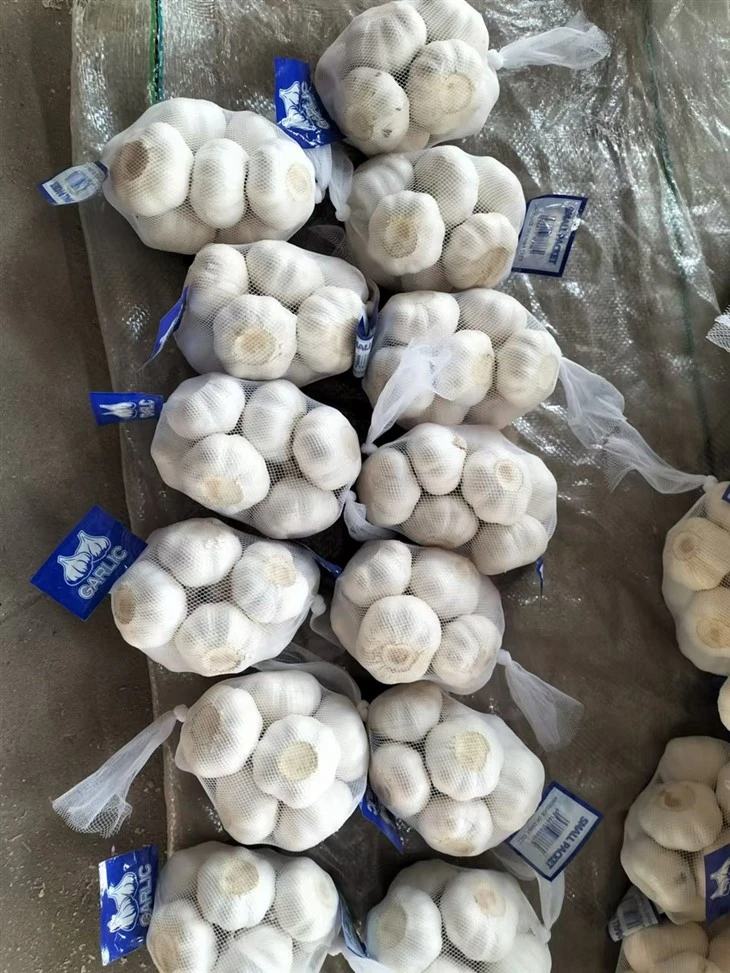 Net Pocket Garlic Net Pocket Garlic