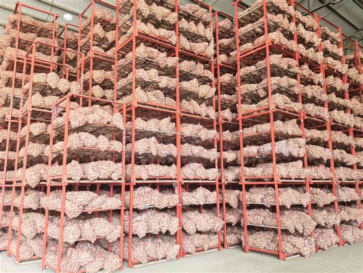2025 New Garlic