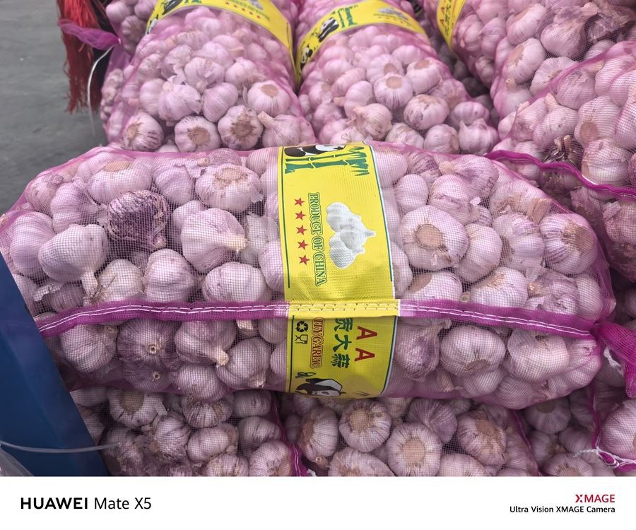 2026 Newly Premium Garlic