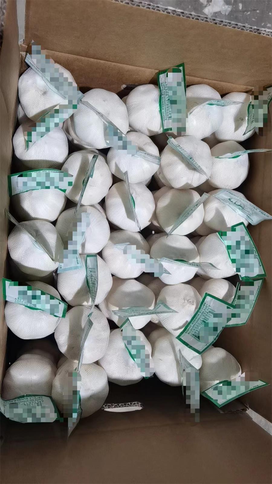 Bags Of Garlic