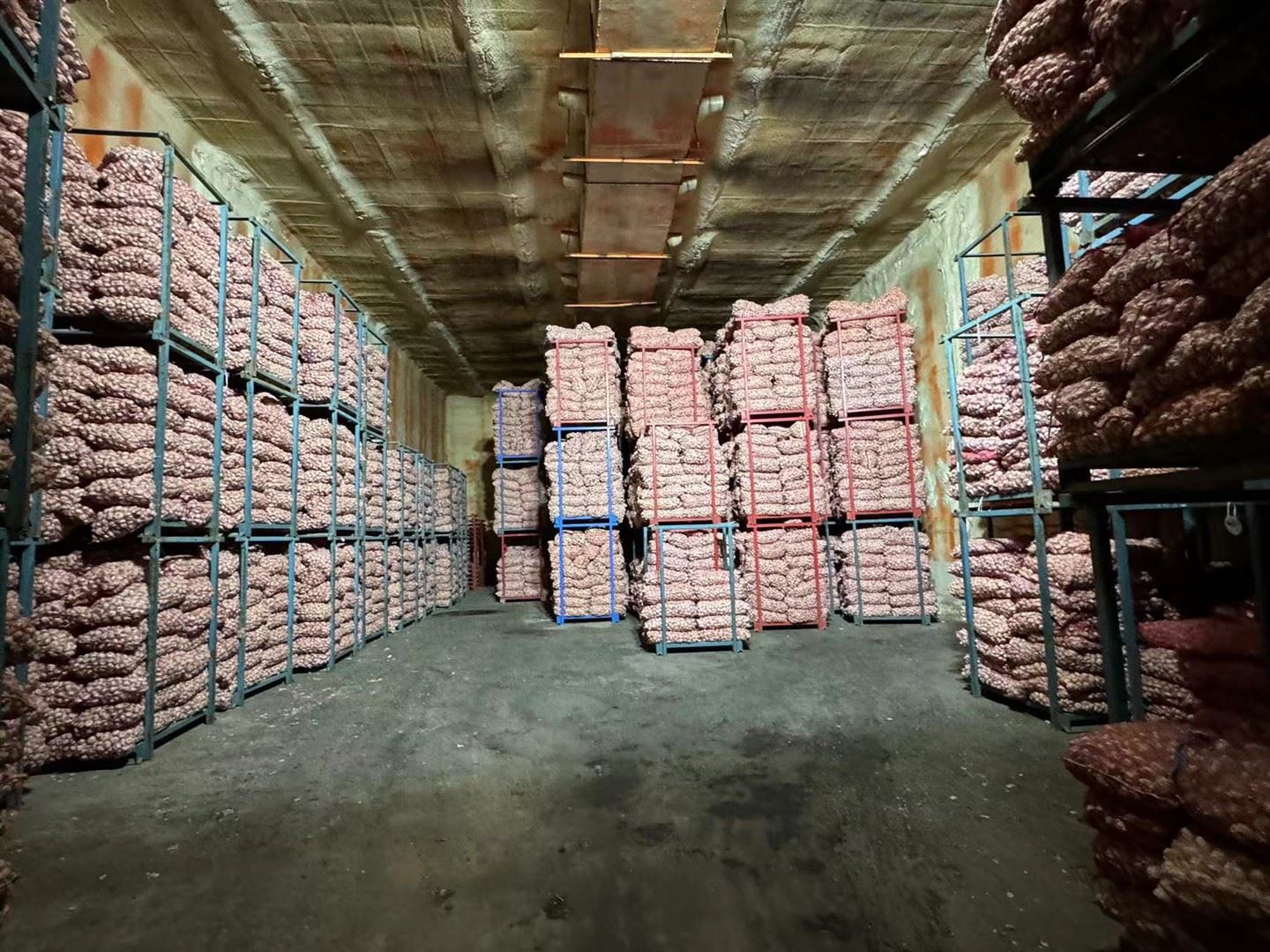 Garlic In Cold Storage