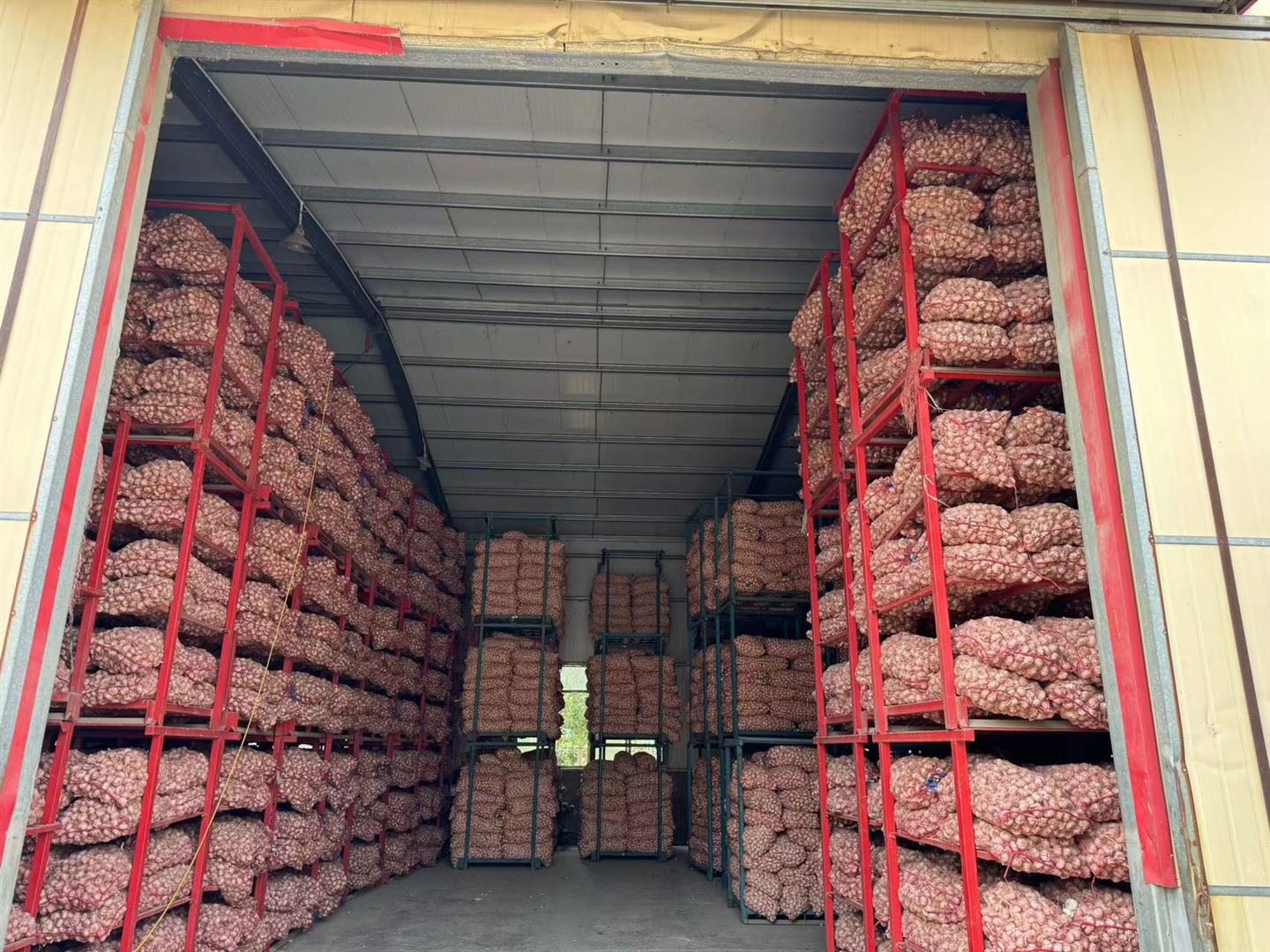 Stored Garlic