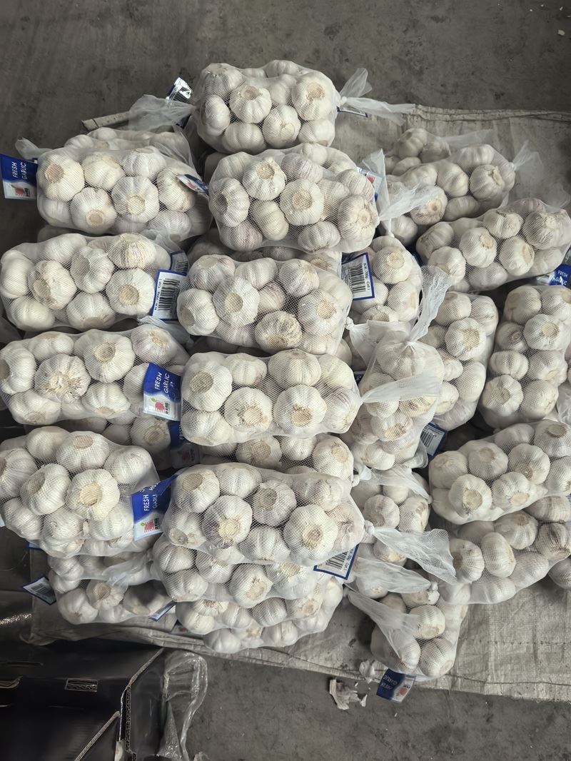 Garlic in Big Net Bag