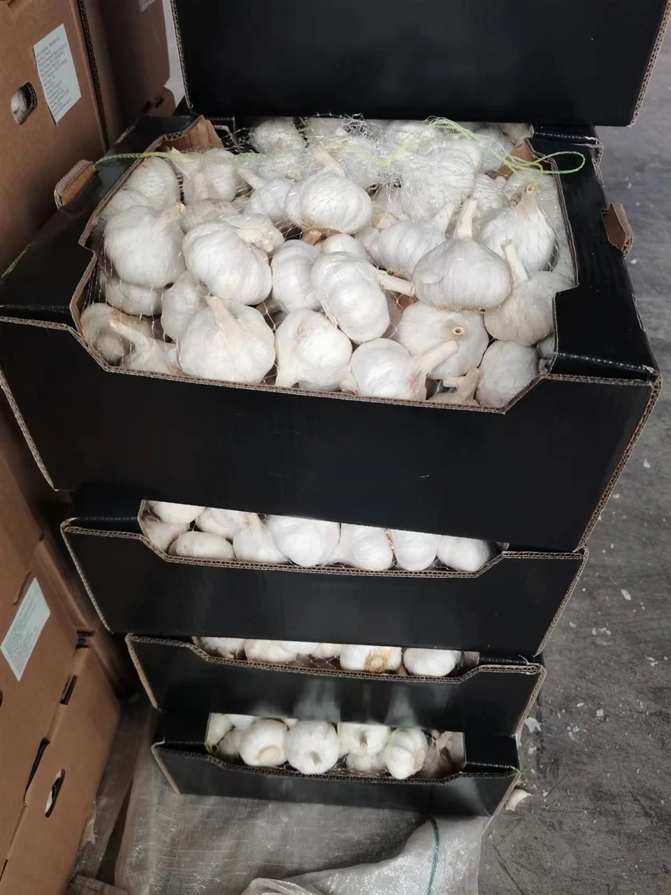 High Quality Packed Garlic