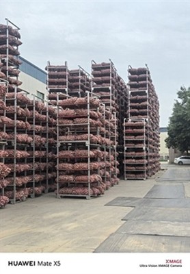 Large Quantities Of 2026 Fresh Chinese Garlic Stored: Ensuring Stable Supply ...