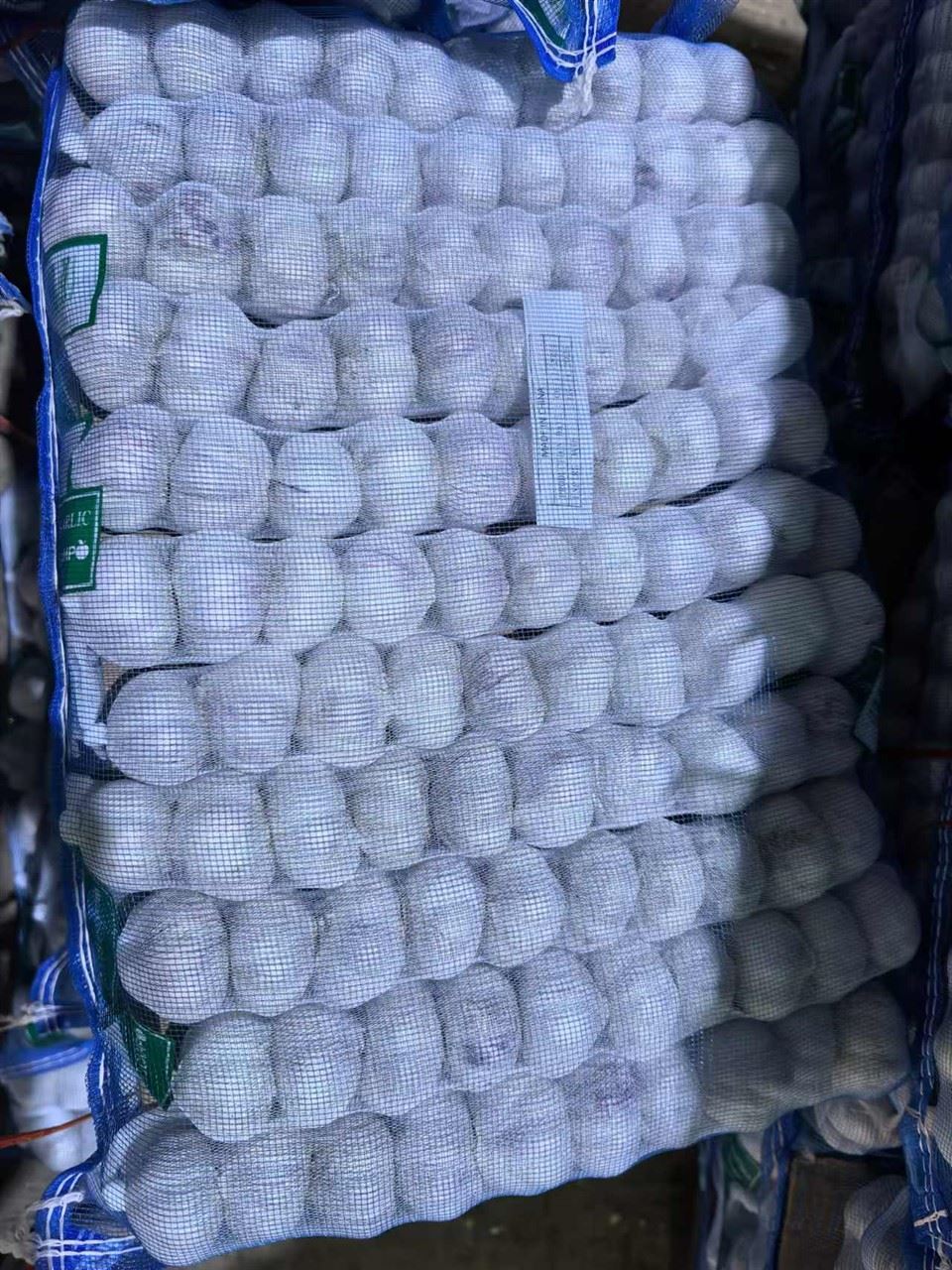 Packaged Purple-skinned Garlic