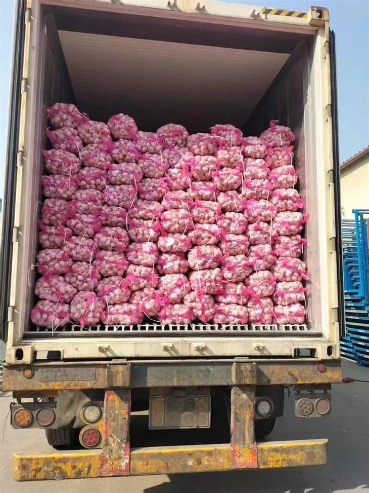 Nice Mix Garlic