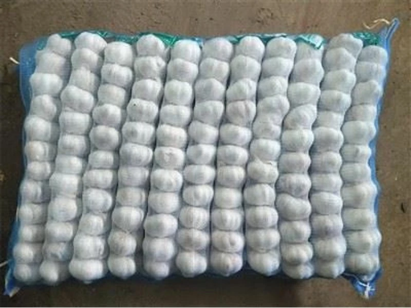 product-800-600 product-800-600
