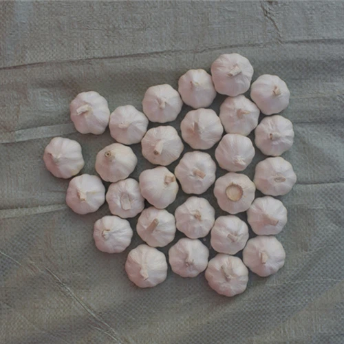 Skinless Garlic