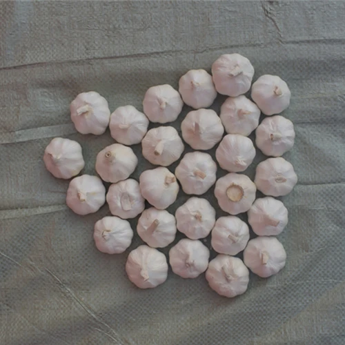 Skinless Garlic Skinless Garlic
