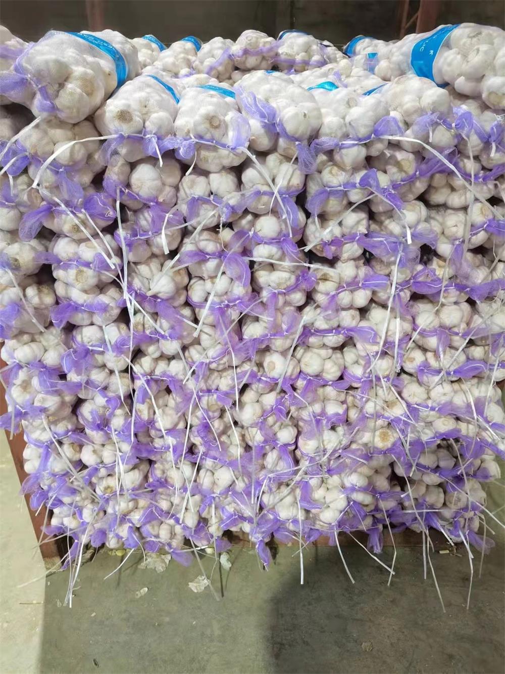 Small Bag Of Garlic