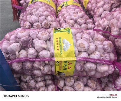 2026 Newly Premium Garlic